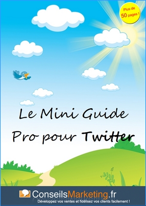 mini-guide-twitter-pro-petit