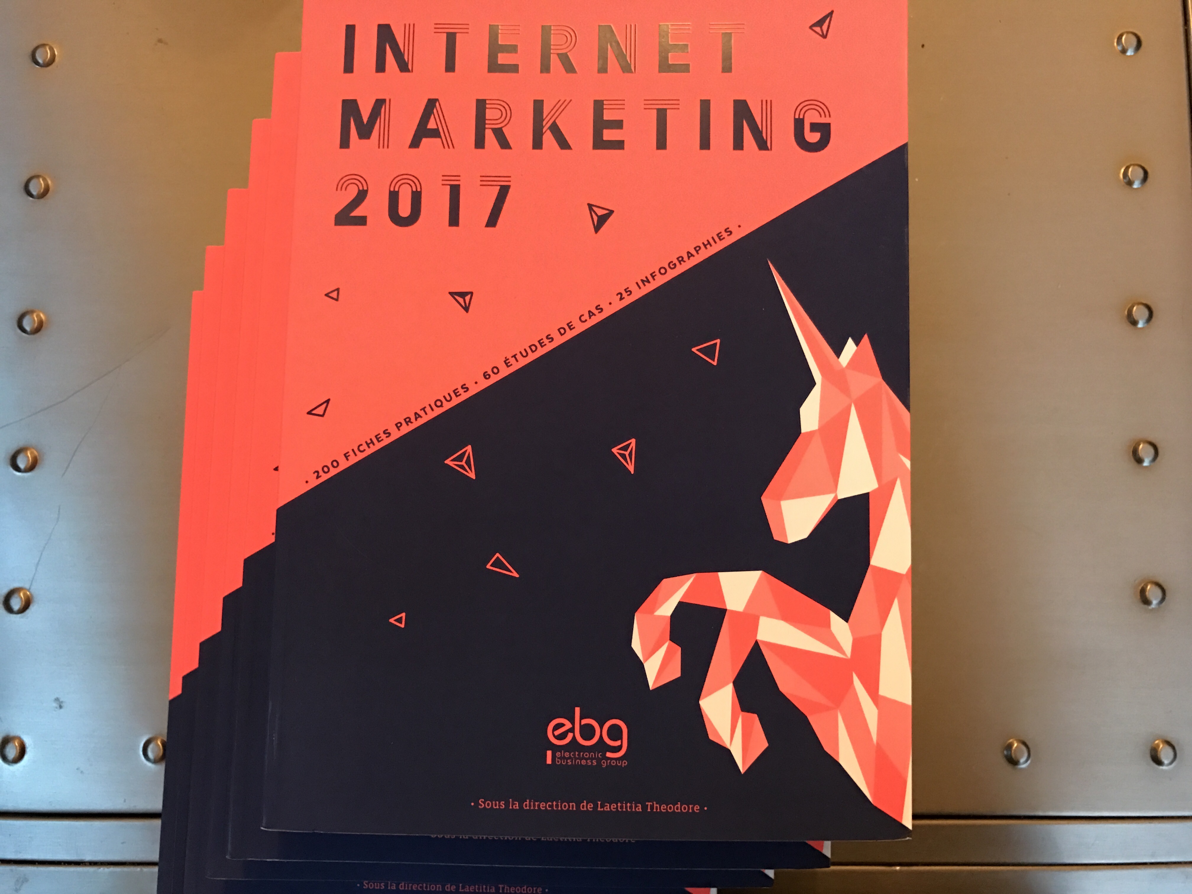 livre-internet-marketing-2017