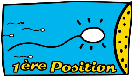 1ère position Référencement Logo