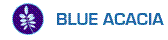 Logo Blue Acacia
