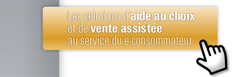 Solutions de vente assistée au service du e-consommateur