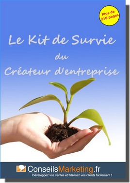 conseilsmarketing, livre blanc création d’entreprise