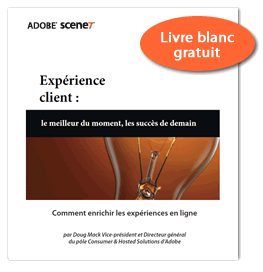 experience-client-livre-blanc