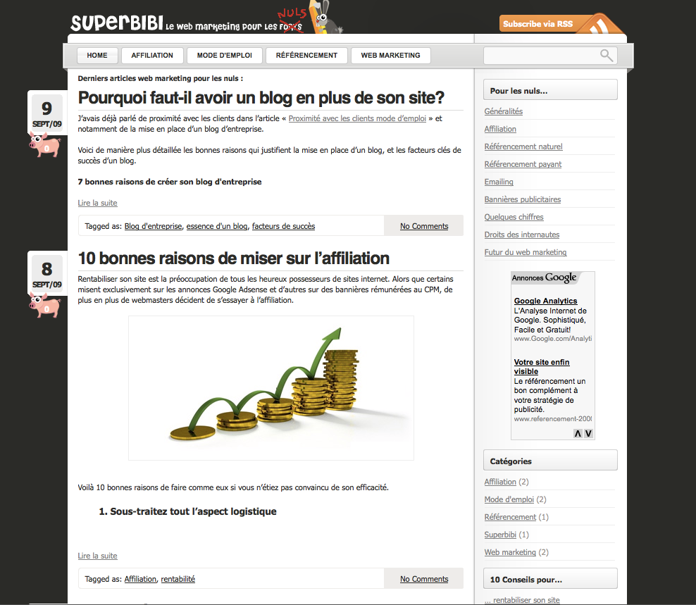 superbibi-webmarketing-pour-les-nuls