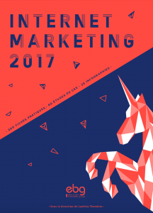 livre-internet-marketing-2017