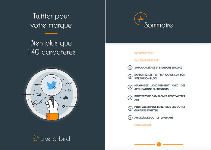 livre-twiter-likeabird-couv-plan