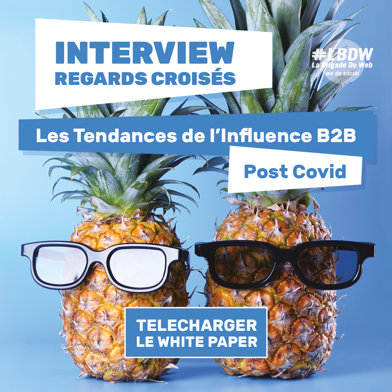 Livre blanc Influence B2B